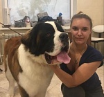 Голова Елена Петровна