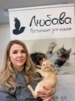 Елена Владимировна Таловерова